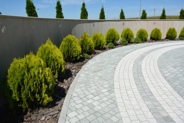 Best Driveway Paving Contractor  in Shenandoah Farms, VA